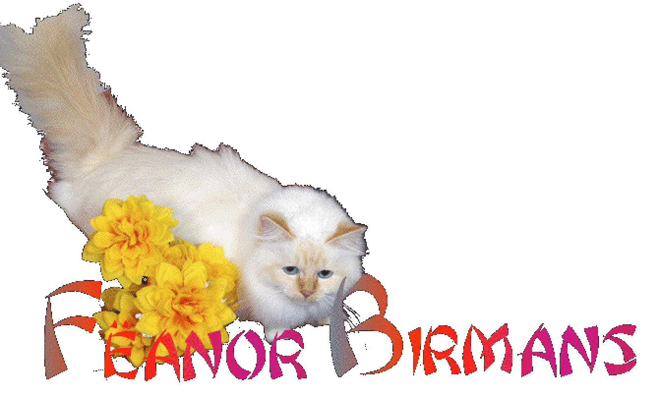 Feanor Birmans Header